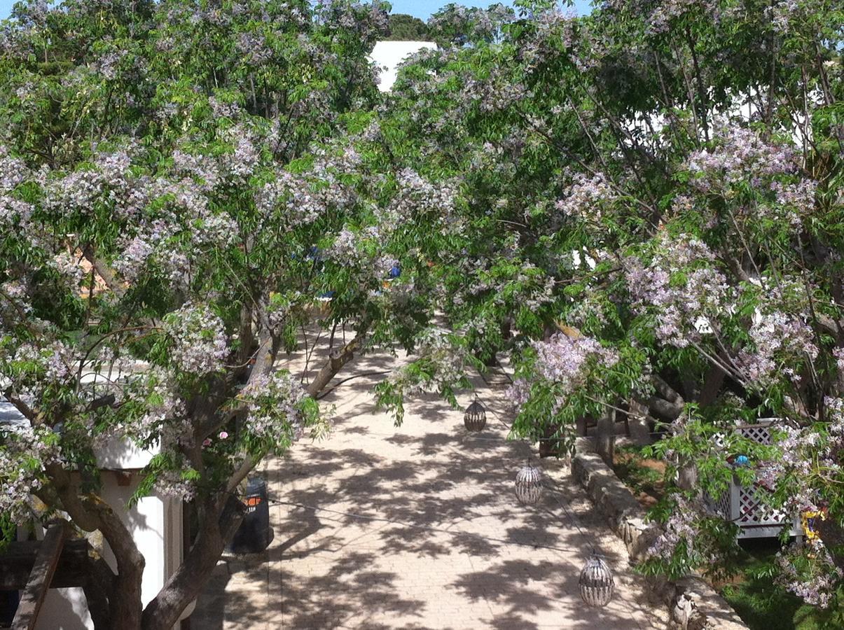 Paraiso Perdido Conil De La Frontera Ngoại thất bức ảnh